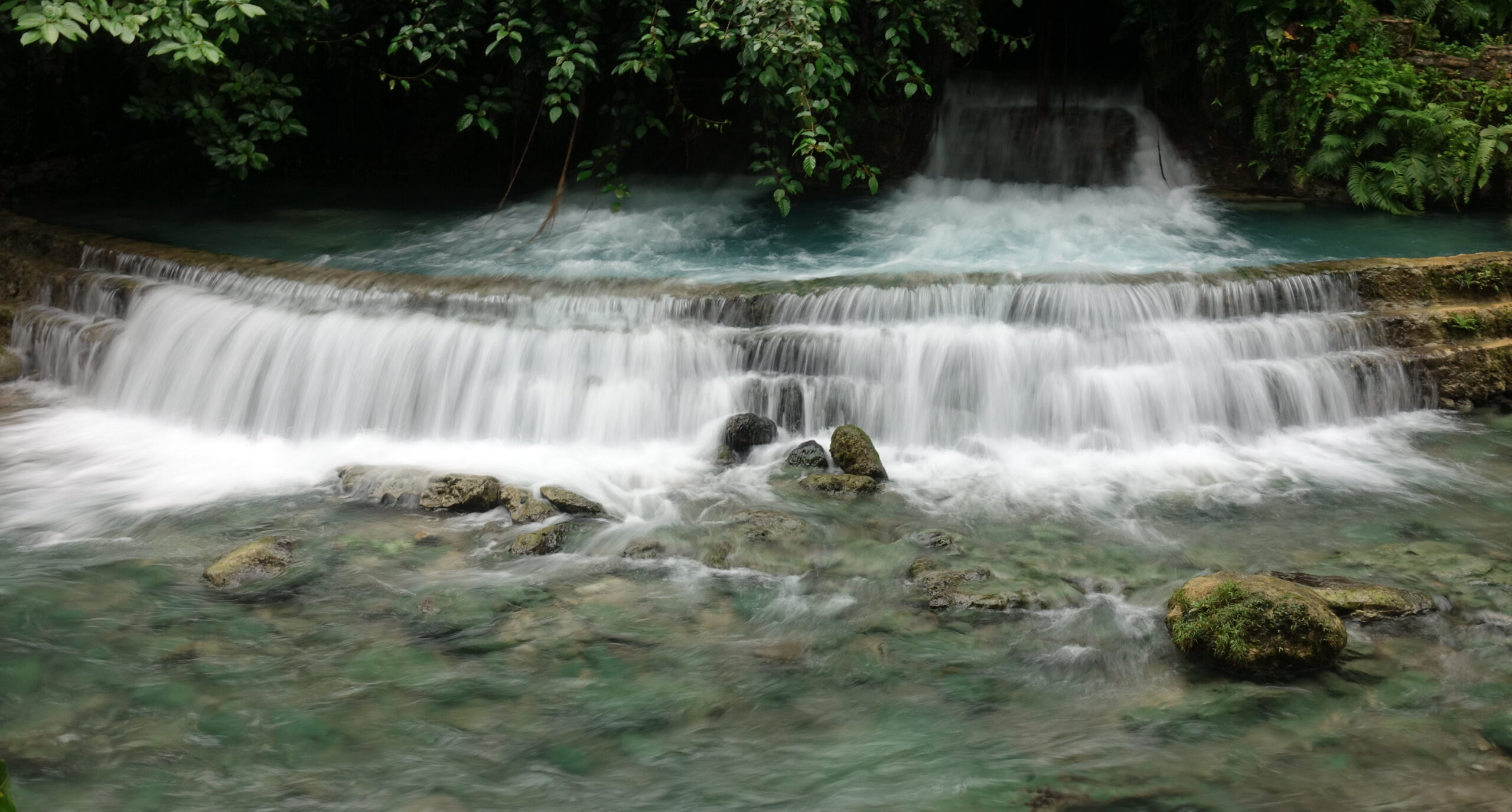 Near Kawasan Falls in Badian Cebu